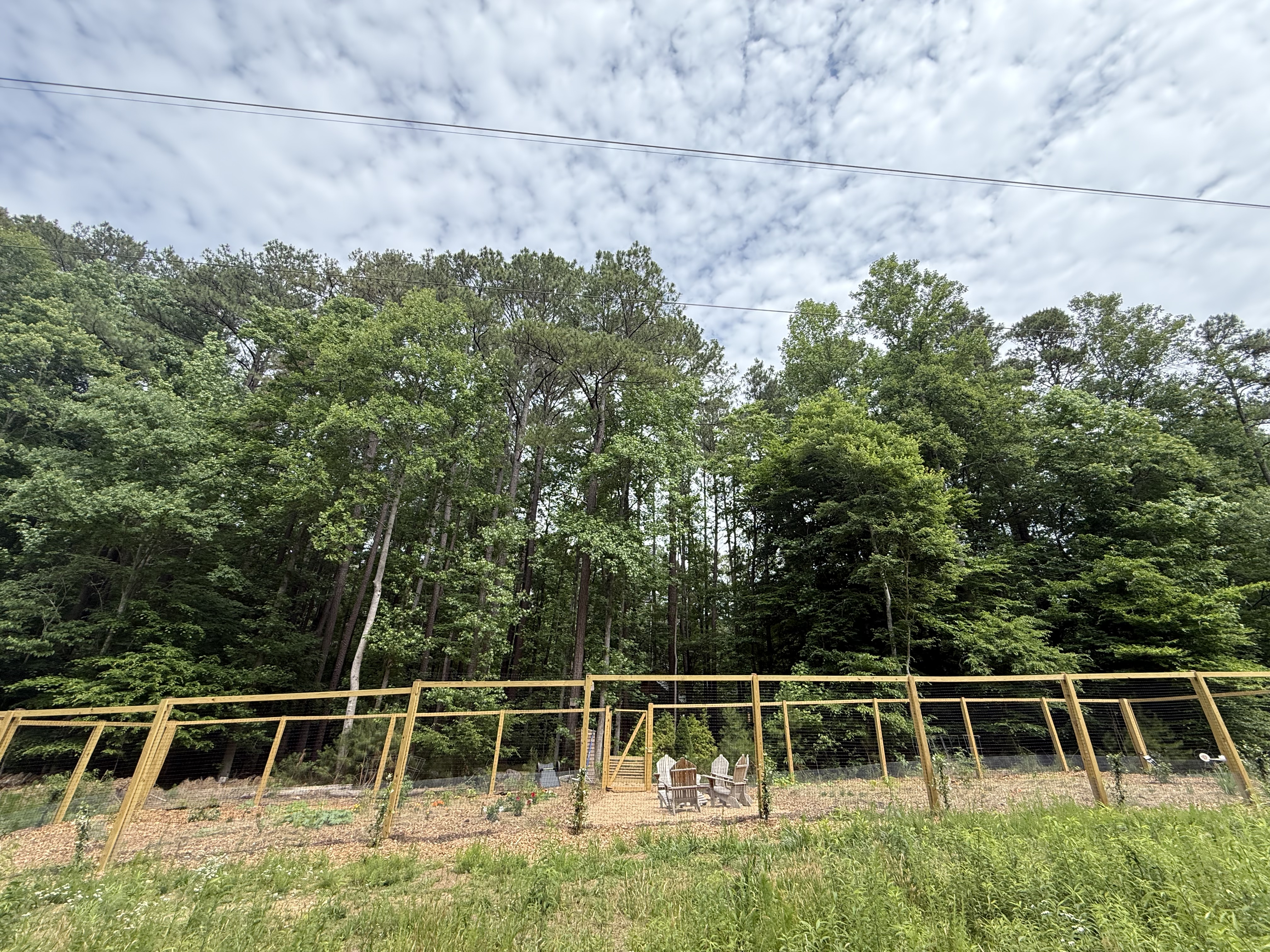 The garden with fencing and Adirondack chairs, backed by forest